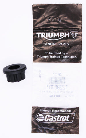 Triumph Key Blank PN T2500440