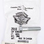 Harley-Davidson Cap Screw Part Number - 2818