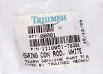 Triumph Bearing PN 1110051-T0301