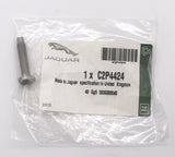 Jaguar Exterior Rocker Bolt PN C2P4424