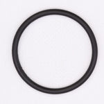 Polaris O-Ring PN 1800027