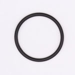 Polaris O-Ring PN 1800027