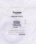 Genuine Triumph Washer Part Number - T2046231