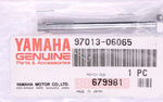 Yamaha PN 97013-06065-00