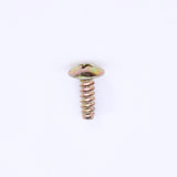 Polaris Screw   PN 7517317