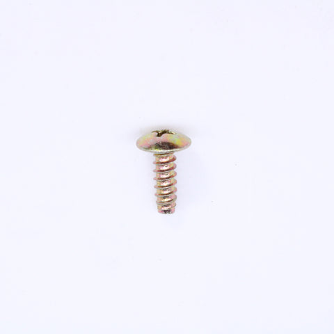 Polaris Screw   PN 7517317