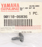 Yamaha Hex Head Bolt (Pack of 2) PN 90110-06836